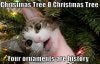 cat_christmas_ornaments.jpg
